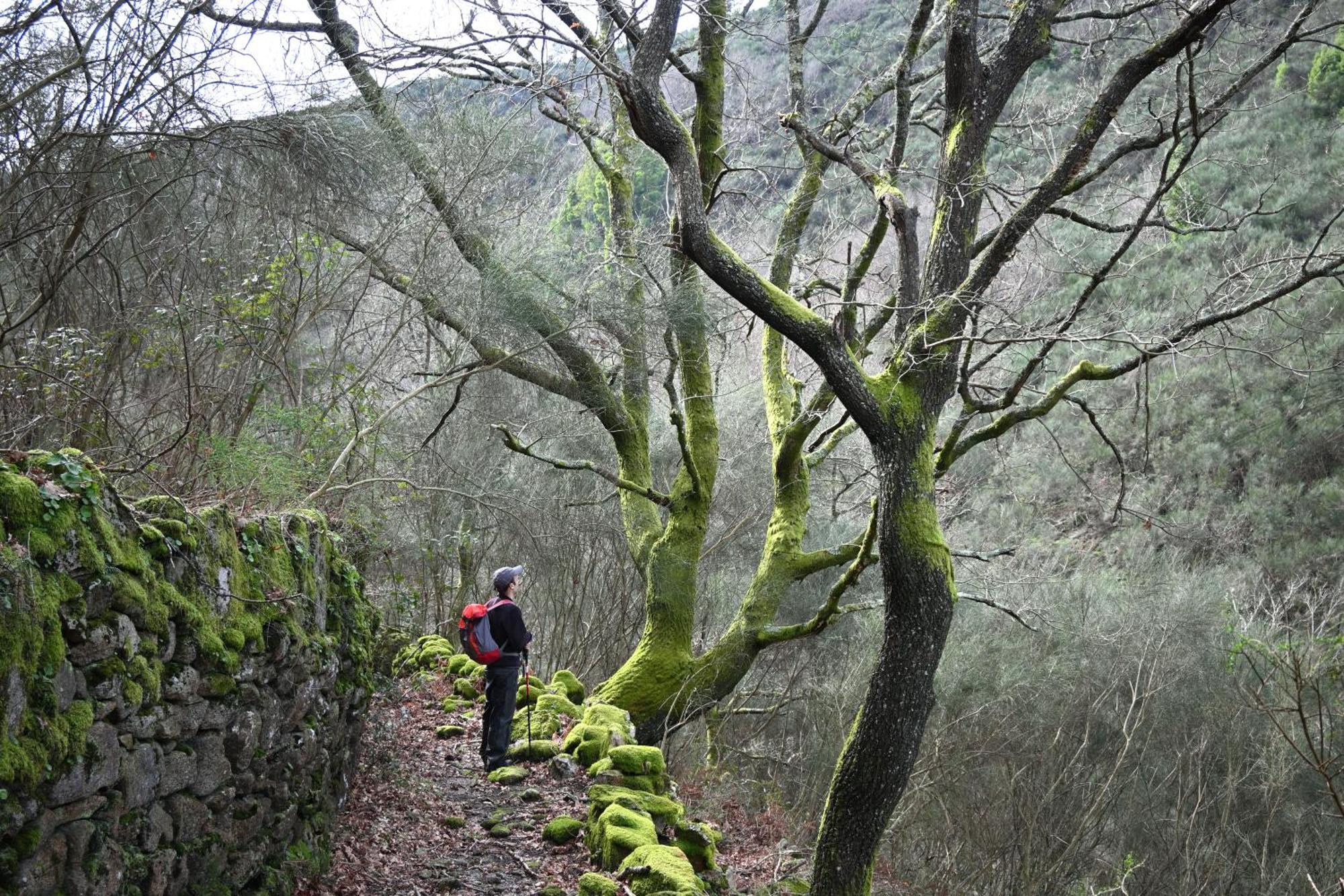 Quinta Ecologica Da Peneda Agroturismo By Peneda Ecofarm Arcos de Valdevez Dış mekan fotoğraf